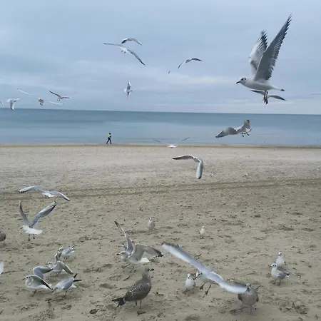 Diva 2-pokojowy Prywatny * コウォブジェク