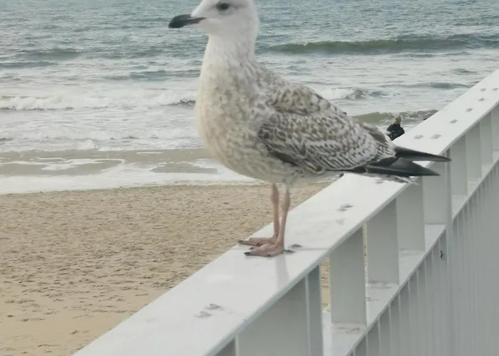 Apartment Diva 2-pokojowy Prywatny *