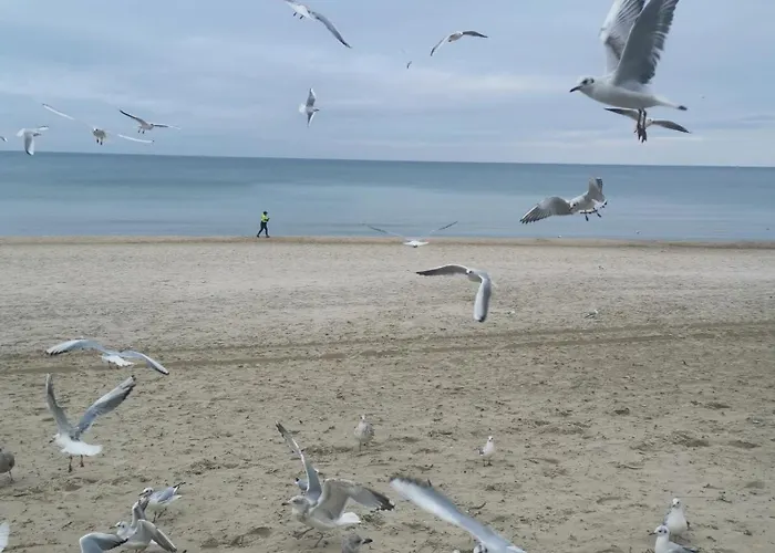 Diva 2-pokojowy Prywatny * Kolobrzeg